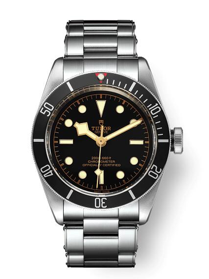 Tudor Black Bay M79230N-0009 Replica Watch